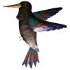 011 0742 Wall Decoration Parrot